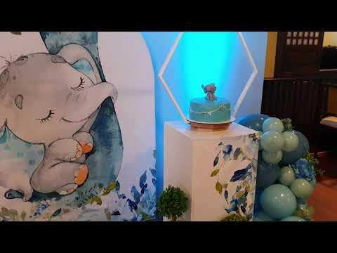 Elephant Party Decoration l Christening l  Panel Backdrop