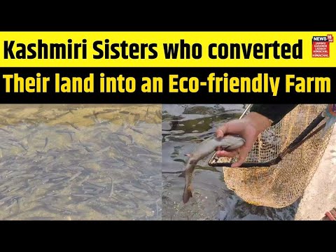 Kashmir News : Meet the Kashmiri Sisters who converted their land into an Eco-friendly Farm |