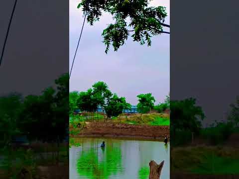 apr4❤️morning india#villagelife #nature #video #viral #trending