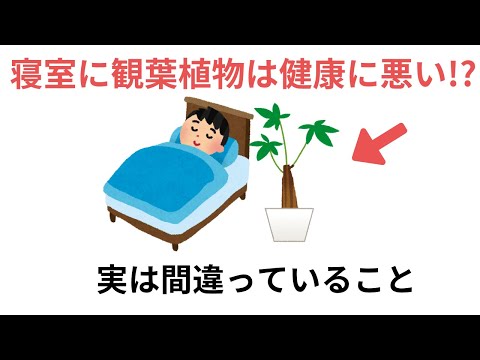 寝室に観葉植物は健康に悪い!? 実は間違っていること（有料級な雑学)