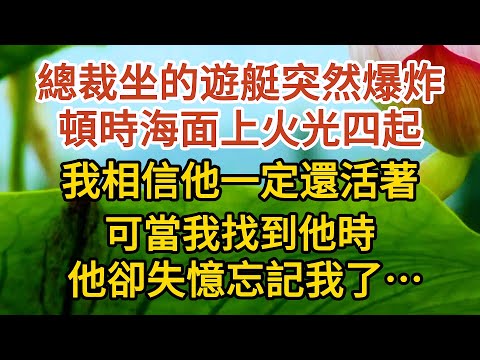 《偷來的幸福》第07集：總裁坐的遊艇突然爆炸，頓時海面上火光四起，我相信他一定還活著，可當我找到他時，他卻失憶忘記我了…… #戀愛#婚姻#情感 #愛情#甜寵#故事#小說#霸總