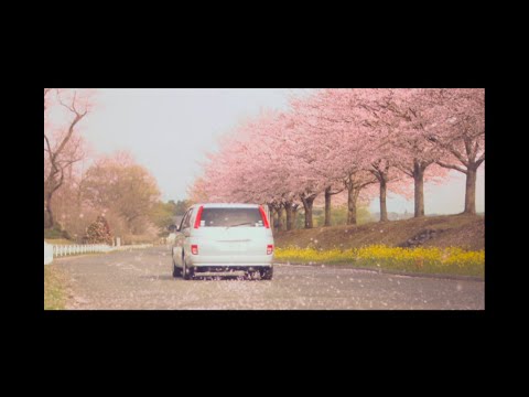 Mr.Children 「ひびき」 MUSIC VIDEO