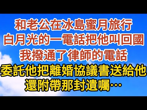 【完結】和老公在冰島蜜月旅行，白月光的一個電話把他叫回國，我撥通了律師的電話，委託他把離婚協議書送給他，還附帶那封遺囑……#爱情#故事#人生感悟 #情感故事 #家庭#婚姻一口氣看完