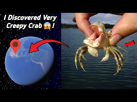 😱 I Discovered Creepy Giant Crab On Google Earth and Google Maps!