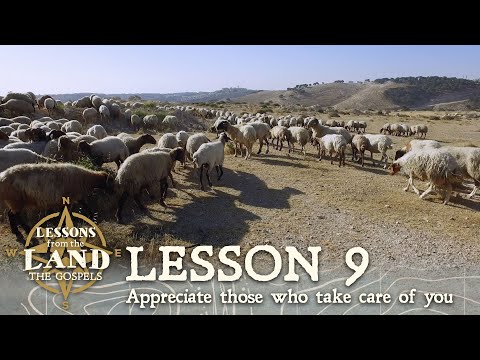 Appreciate Those who Take Care of You: Sheep and their Shepherd