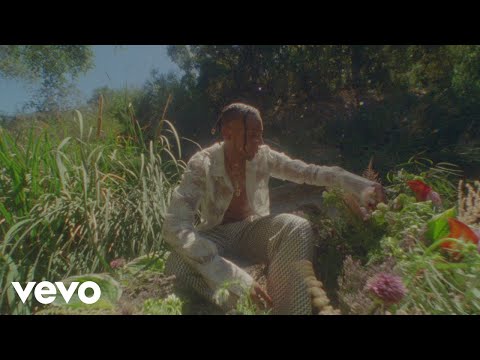 Masego - Passport (Visualizer)