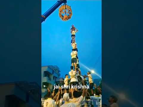 Celebration of our krihna janmastmi Jai shrii krishn #short #celebrate #festival #viral