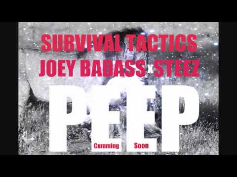 Joey BADA$$ x Jay STEEZ - Survival Tactics