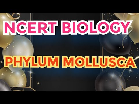 PHYLUM MOLLUSCA