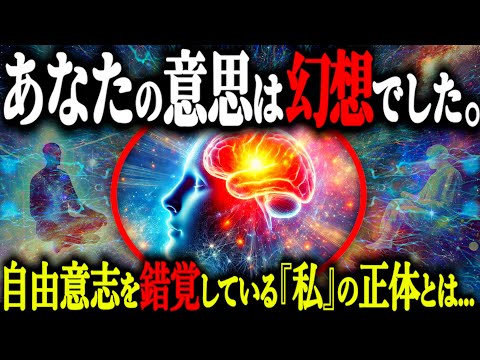 人間に自由意志は存在しない。であれば『私』とはなんなのか。【都市伝説 自由意志 脳科学】