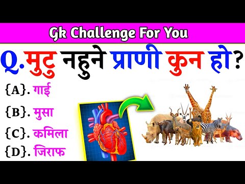 Gk Questions And Answers in Nepali।। Gk Questions।। Part 548।। Current Gk Nepal