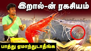 Health Benefits : நல்ல இறால் வாங்குவது எப்படி | fresh Prawn in Tamil | prawn buying in Tamil