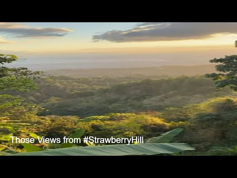 Majestic Mountain Views: #StrawberryHill #Kingston  #shorts #travel #jamaica #nature