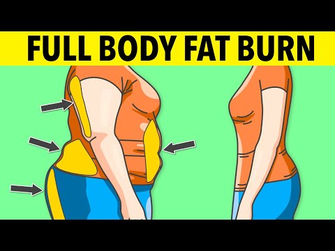 30-Minute Full Body Fat Burner – No Jumping Needed