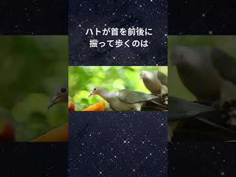 快眠療法士の睡眠雑学#shorts