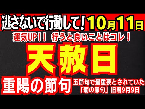 【天赦日】今年7回のみ最上吉日✨10月11日✨そして五節句で最重要視される重陽の節句(旧暦9月9日)も加わる貴重な開運日です！【重陽の節句】