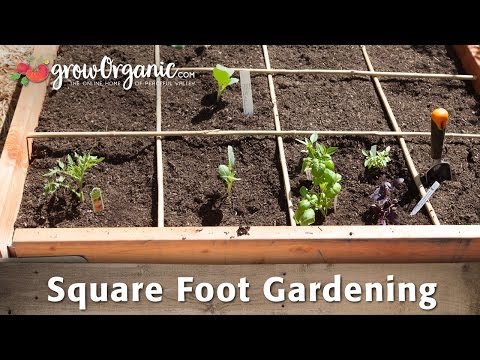 Using a Square Foot Garden to Maximize Space