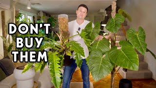 10 PLANTS I WOULD NOT BUY AGAIN & WHY