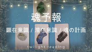 【魂予報】💫魂の計画と向き合ってみる✨顕在意識✨潜在意識🧐