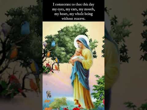 Daily Consecration to Mary