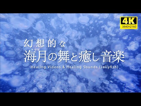 Fantastic jellyfish dance and healing BGM / recovery of tired mind and body