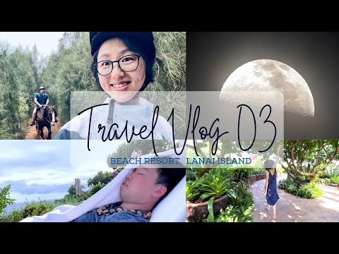 骑马 观星 赏月 畅谈 拉奈岛海边的四季｜Travel Vlog 3 Lanai Island #chill #vacation