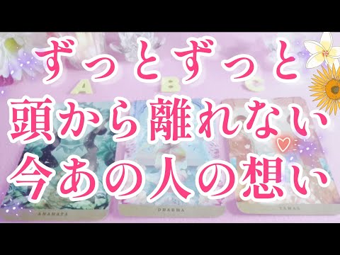 ドキドキ鳥肌😲‼️ずっとずっと頭から離れない🩷あの人の貴方への今の想い🌈🦄片思い 両思い 複雑恋愛&障害のある恋愛など🌈タロット&オラクル恋愛鑑定