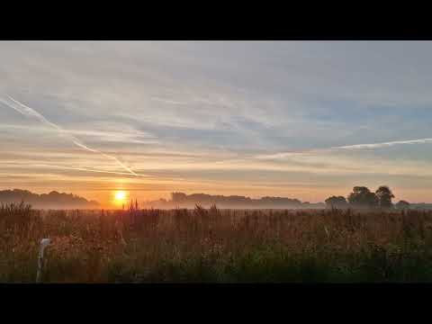 Pretty Autumn morning in Denmark, Sep 12 2022