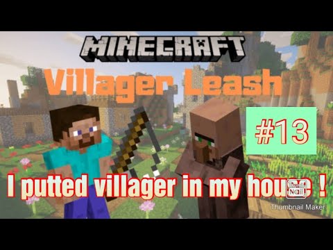 I putted villager in my house! #13