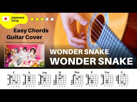 【弾き語り】WONDER SNAKE / WONDER SNAKE：ギター解説動画【コード譜】