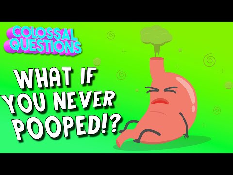 What Would Happen If You Never Pooped? | COLOSSAL QUESTIONS