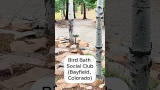 Our Bird Bath Social Club in Bayfield, Colorado | Colorado Mountain Living