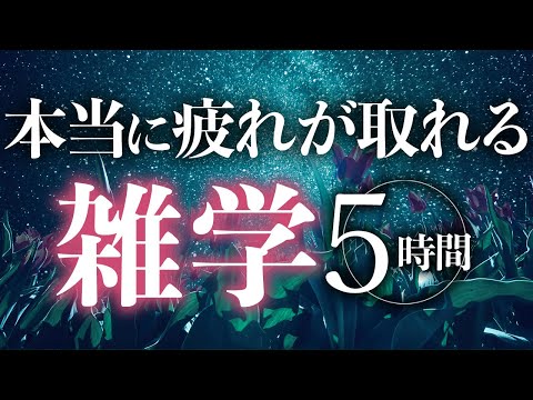 【睡眠導入】本当に疲れが取れる雑学5時間【合成音声】