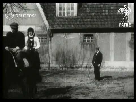 SPORTS:  Morning training of racehorses at Hoppegarten  in the morning at Hoppegarten (1928)