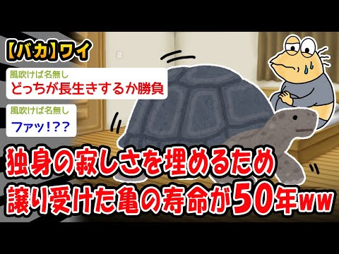 【バカ】独身の寂しさを埋めるため譲り受けた亀の寿命が50年ww【2ch面白いスレ】