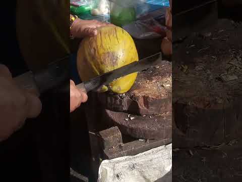 fantastic / satisfying cutting coconut Asmr #satisfying #coconutwater #youtubeshorts @Gatchie Jr