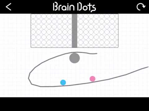 Replay from Brain Dots!