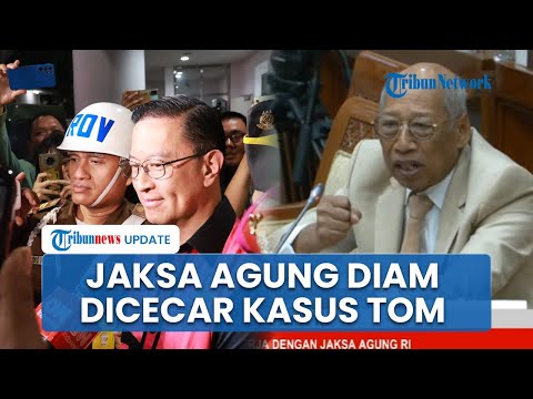 Jaksa Agung Diam Dicecar DPR soal Kasus Tom Lembong, Pengacara Eks Mendag: Jangan Ditutup-tutupi