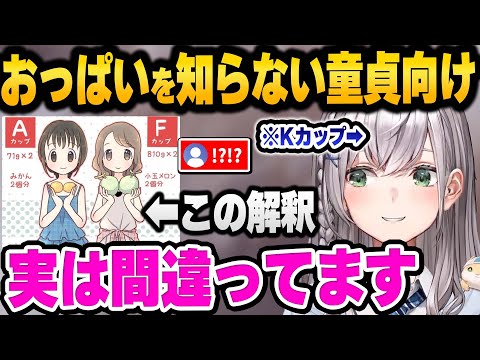 3次元のおっ○いを見たことがない童貞のためにバストサイズと巨○・貧○の違いを教えてくれる白銀ノエル【 ホロライブ 切り抜き 白銀ノエル 】