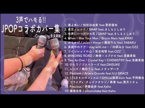 【作業用BGM】男女でハモる&3声でハモる コラボレーションカバー集〜Covered by 奈良姉妹〜