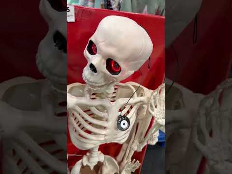 Morrison skeleton display #shortvideo #shorts #short #youtubeshorts  #halloween #creepy #trending