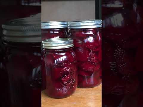 Beet Pickles Recipe #shorts