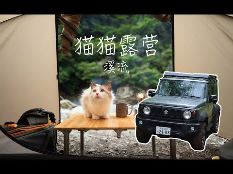 东京「和猫猫一起露营」吉姆尼｜溪流 4K HDR