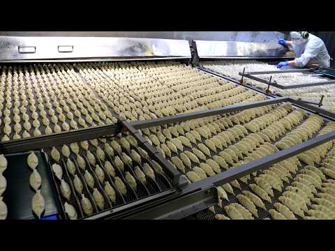 The process of mass producing the world's No. 1 Bibigo dumplings. Korean dumpling factory