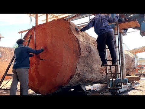 The World's Largest Wood Factory // How Will You Process This Giant Tree?