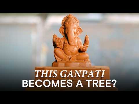 This special Ganpati transforms into a tree after visarjan!