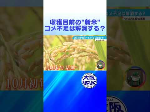 【コメ農家】コメ不足の原因はコメ離れ？「おコメの国」の不都合な現実とは？