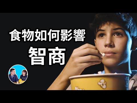 食物如何影響你的大腦和智商 | 老高與小茉 Mr & Mrs Gao