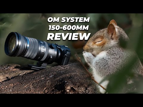 OM System 150-600mm f/5-6.3 IS Lens Review | The ULTIMATE Micro Four Thirds Telephoto Zoom Lens