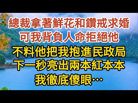 《BB被搶後》第10集：總裁拿著鮮花和鑽戒求婚，可我背負人命拒絕他，不料他把我抱進民政局，下一秒亮出兩本紅本本，我徹底傻眼……#婚姻#情感故事#甜寵#故事#小說#霸總